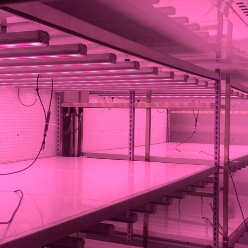 Aralab LED Plant Research Room. Plenums, Valoya LED