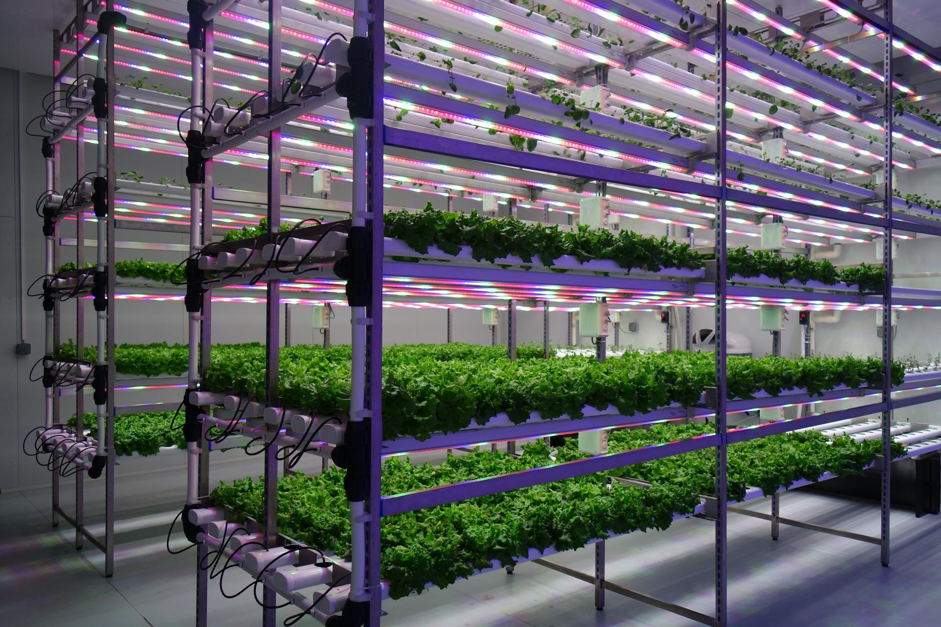 Grow-to-Green-Indoor-Vertical-Farming-Plant-Factory-for-Controlled-Environment-Agriculture_0102